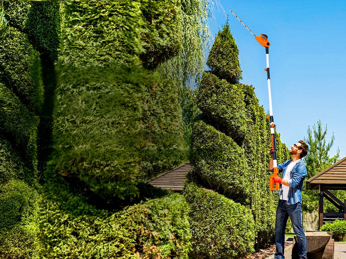 Important things to know before buying a pole hedge trimmer