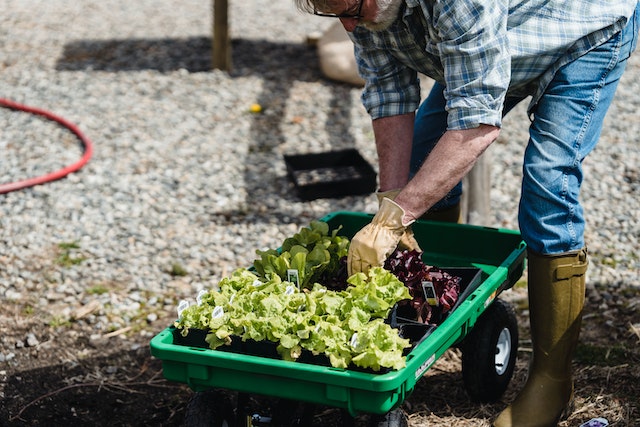 How To Clean A Garden Trolley