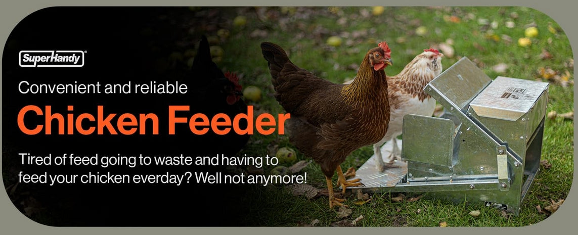 The Effortless Coop: Why the SuperHandy Automatic 9kg Chicken Feeder Is the Secret to a Healthier, Happier Flock