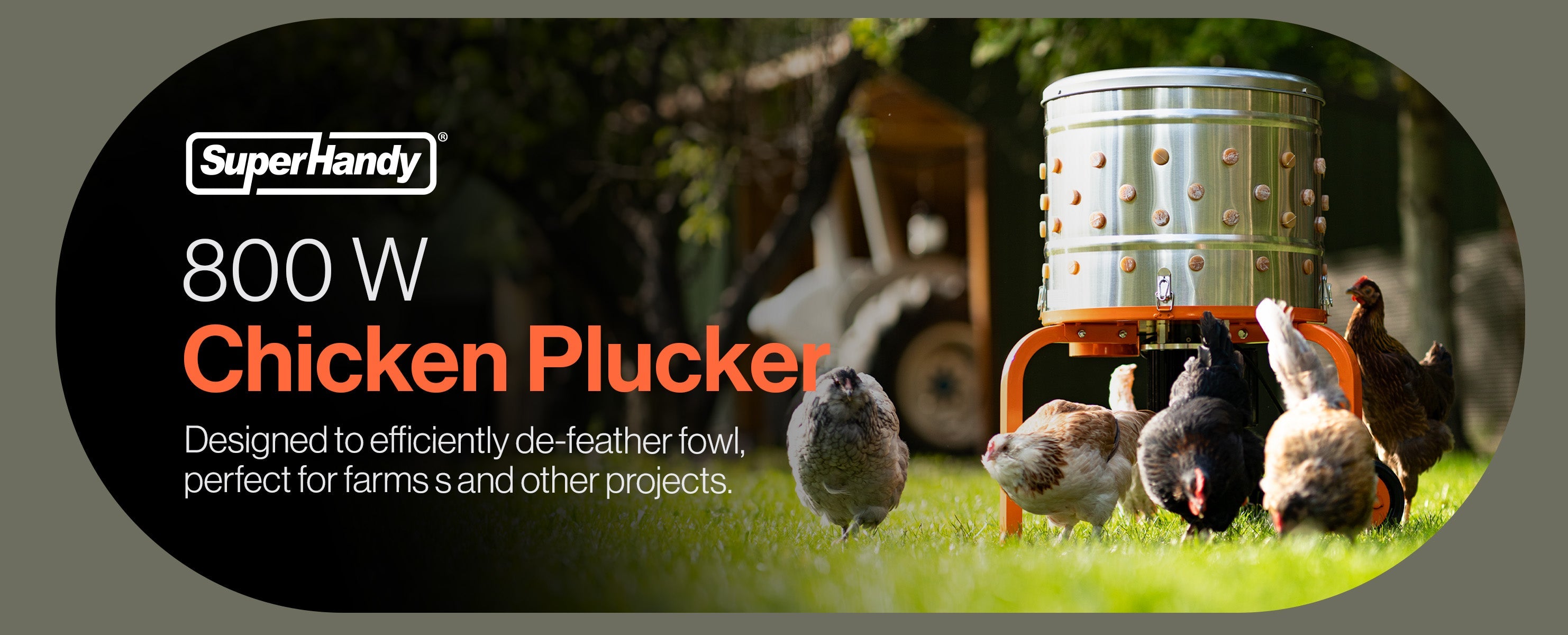 Finding the Ideal Chicken Plucker for Your Farm’s Needs